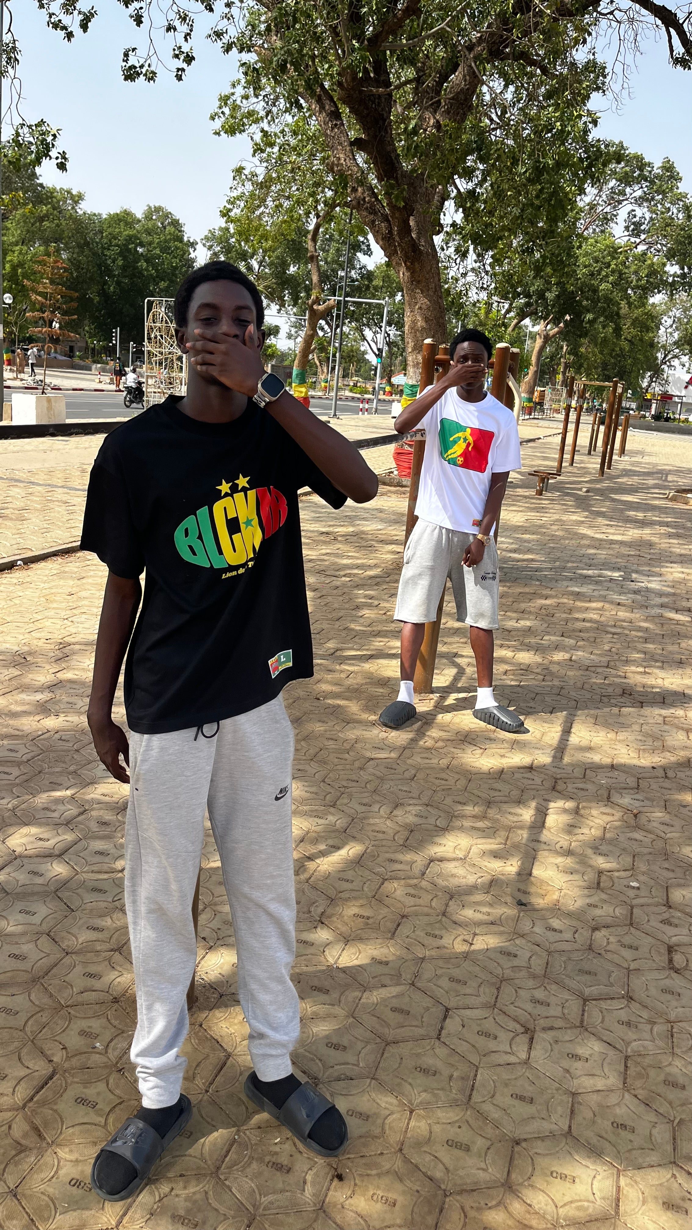 Lion de la Teranga Tee